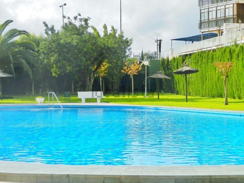 Apartamento En 1ª Linea Con Piscina アリカンテ エクステリア 写真